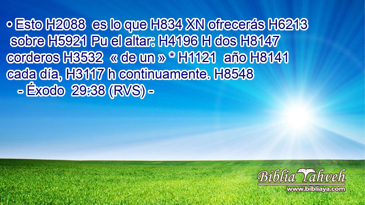 • Esto H2088  es lo que H834 XN ofrecerás H6213  sobre H5921 Pu el altar: H4196 H dos H8147  corderos H3532  « de un » * H1121  año H8141  cada día, H3117 h continuamente. H8548  