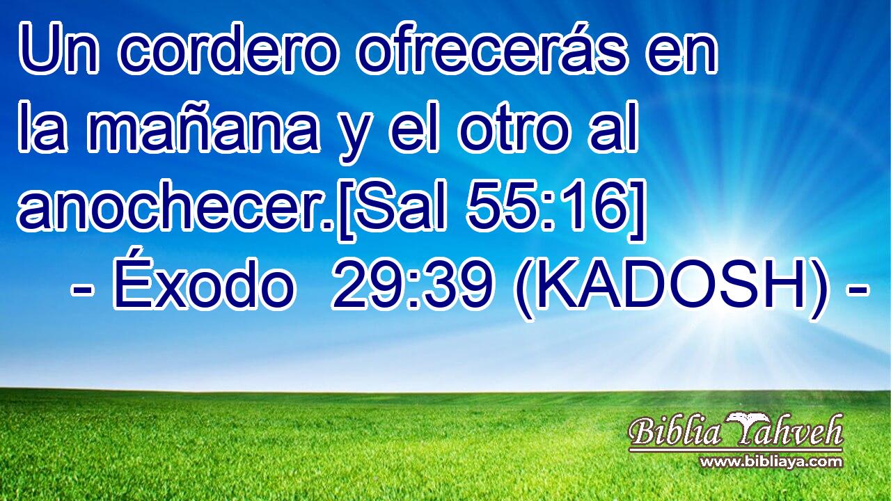  Un cordero ofrecerás en la mañana y el otro al anochecer.[Sal 55:16] 