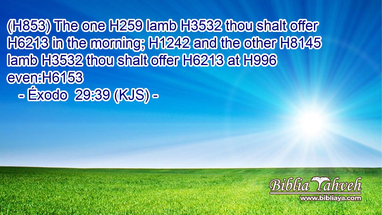 (H853) The one H259 lamb H3532 thou shalt offer H6213 in the morning; H1242 and the other H8145 lamb H3532 thou shalt offer H6213 at H996 even:H6153