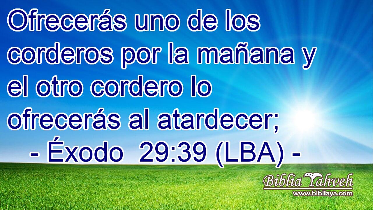 Ofrecerás uno de los corderos por la mañana y el otro cordero lo ofrecerás al atardecer;