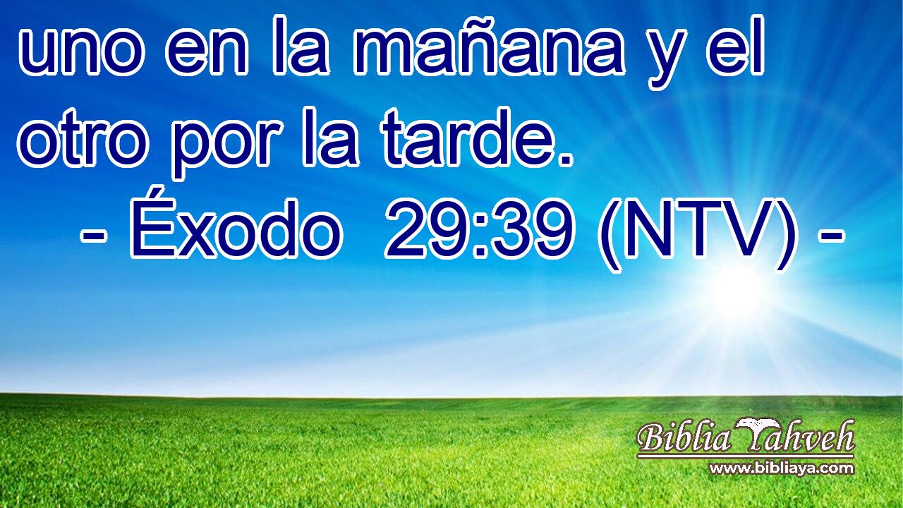 uno en la mañana y el otro por la tarde.