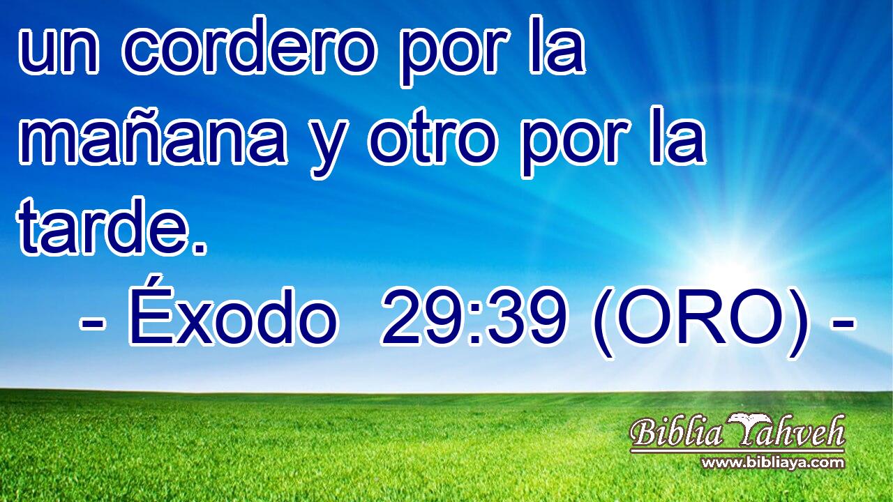  un cordero por la mañana y otro por la tarde. 