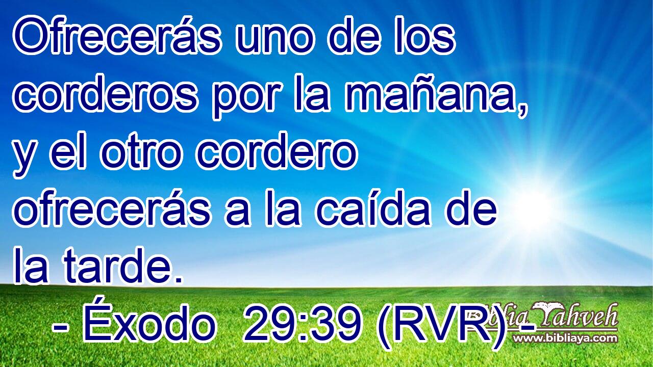 Ofrecerás uno de los corderos por la mañana, y el otro cordero ofrecerás a la caída de la tarde.