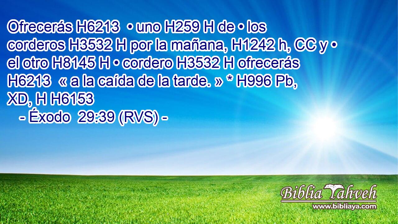 Ofrecerás H6213  • uno H259 H de • los corderos H3532 H por la mañana, H1242 h, CC y • el otro H8145 H • cordero H3532 H ofrecerás H6213  « a la caída de la tarde. » * H996 Pb, XD, H H6153 