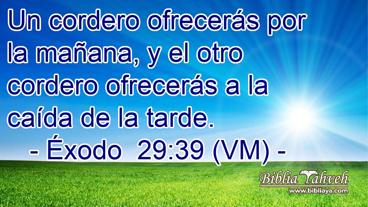 Un cordero ofrecerás por la mañana, y el otro cordero ofrecerás a la caída de la tarde. 