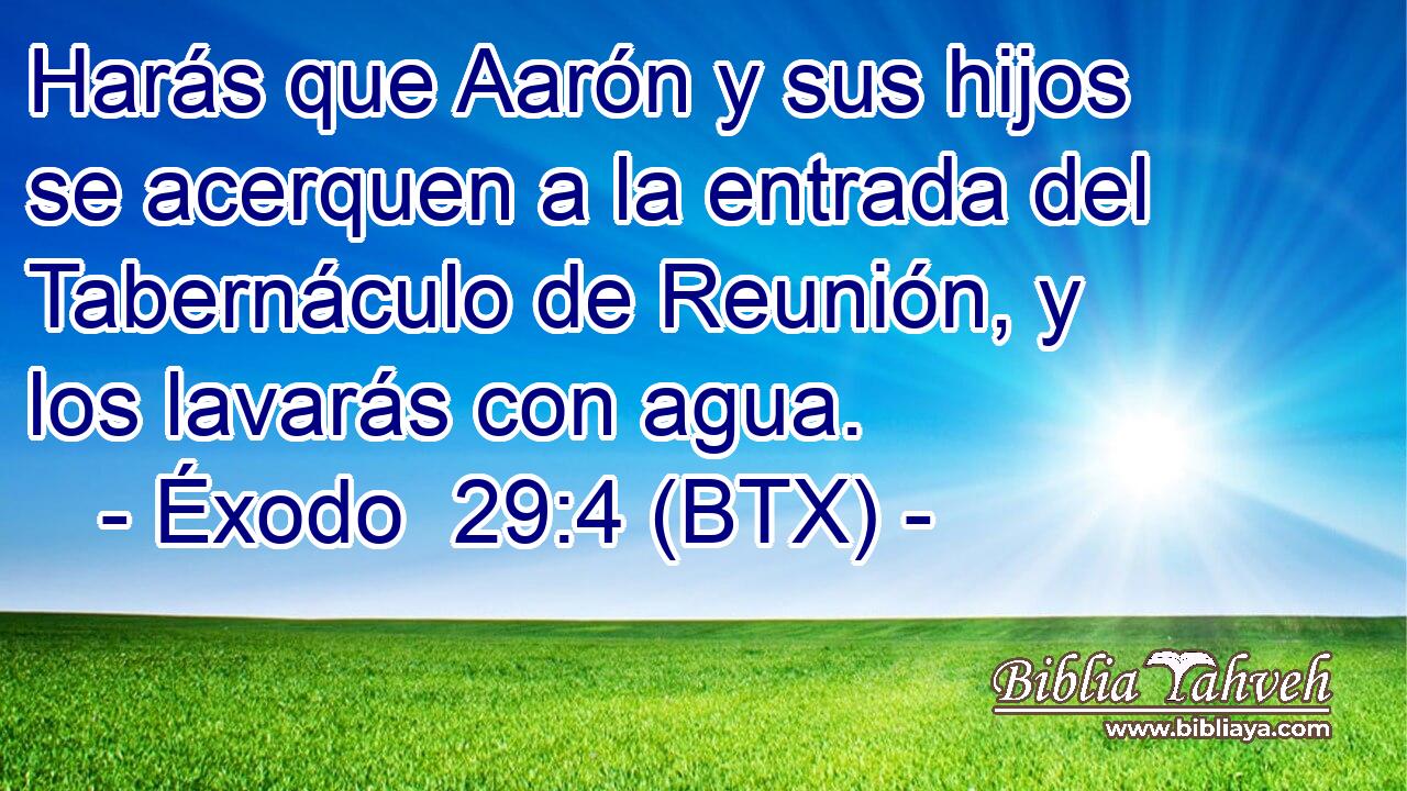 Harás que Aarón y sus hijos se acerquen a la entrada del Tabernáculo de Reunión, y los lavarás con agua.