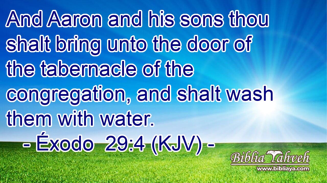 And Aaron and his sons thou shalt bring unto the door of the tabernacle of the congregation, and shalt wash them with water.