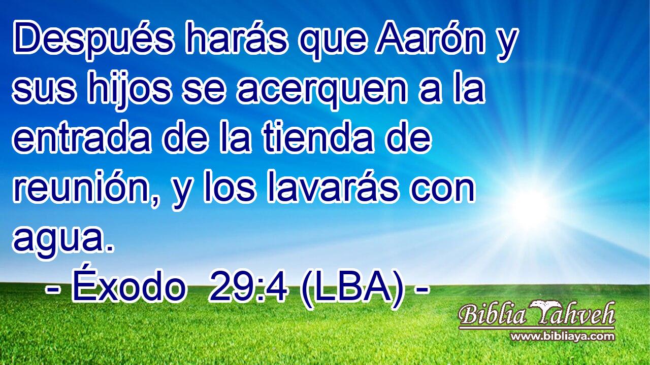 Después harás que Aarón y sus hijos se acerquen a la entrada de la tienda de reunión, y los lavarás con agua.