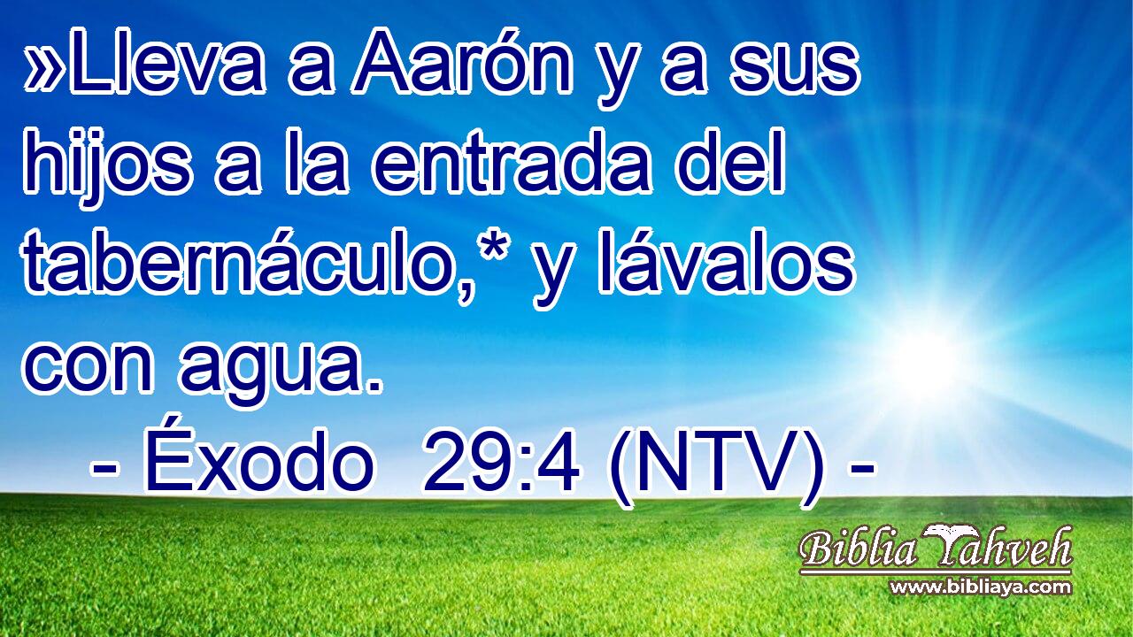 »Lleva a Aarón y a sus hijos a la entrada del tabernáculo,* y lávalos con agua.