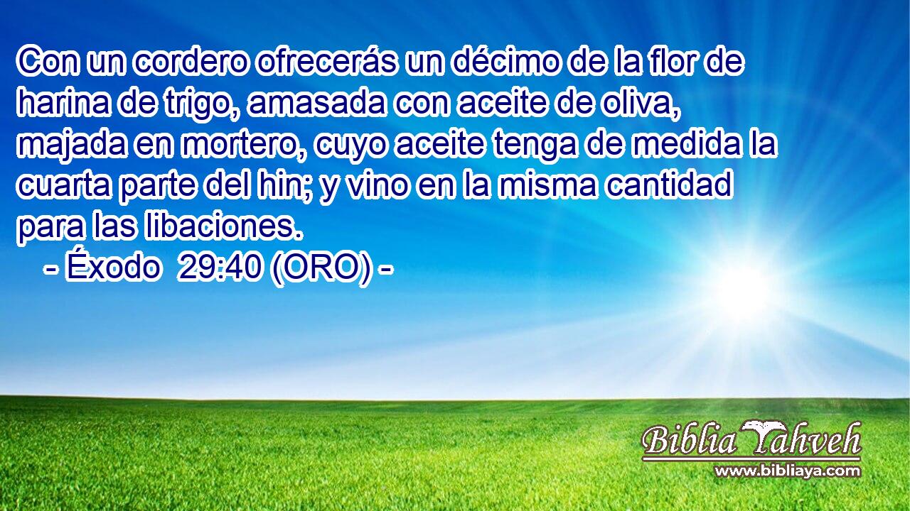  Con un cordero ofrecerás un décimo de la flor de harina de trigo, amasada con aceite de oliva, majada en mortero, cuyo aceite tenga de medida la cuarta parte del hin; y vino en la misma cantidad para las libaciones. 