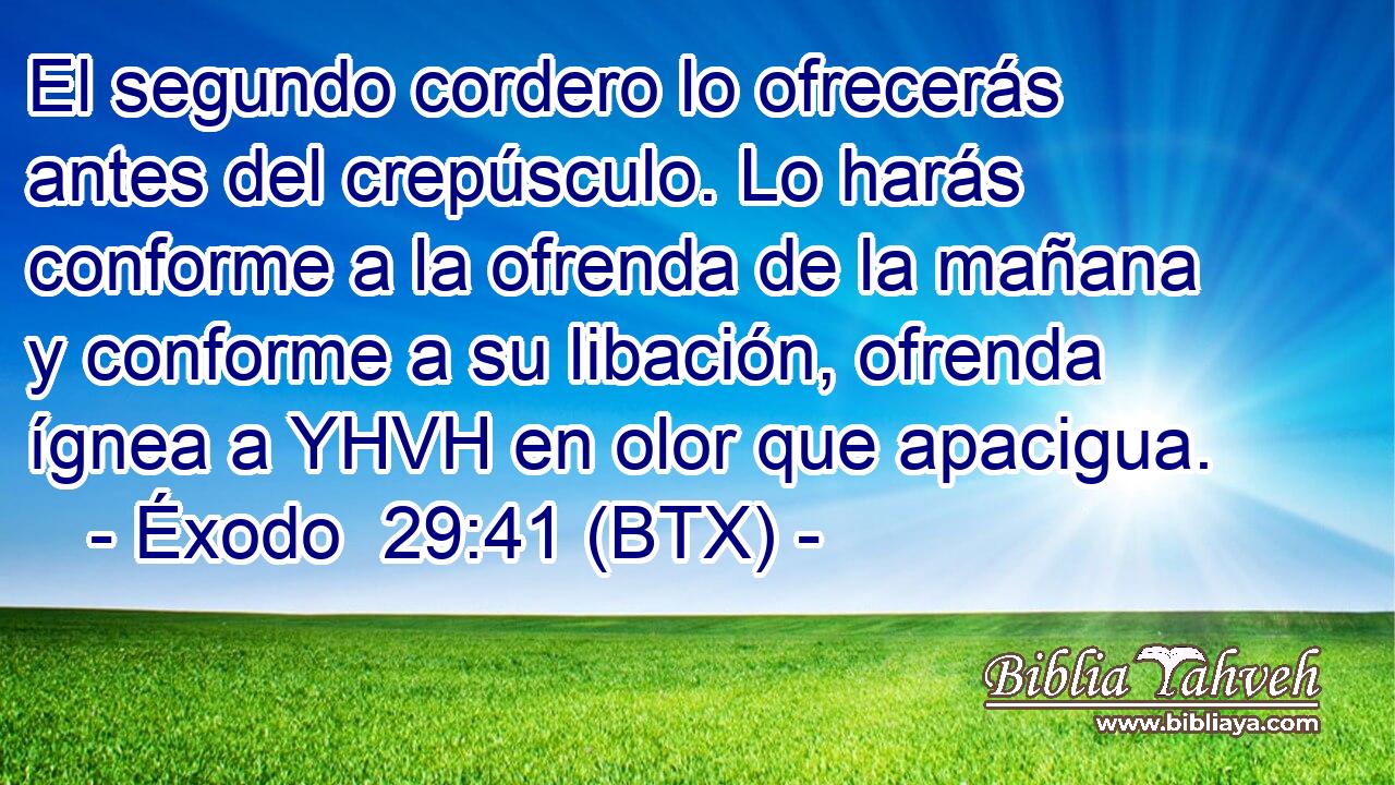 El segundo cordero lo ofrecerás antes del crepúsculo. Lo harás conforme a la ofrenda de la mañana y conforme a su libación, ofrenda ígnea a YHVH en olor que apacigua.