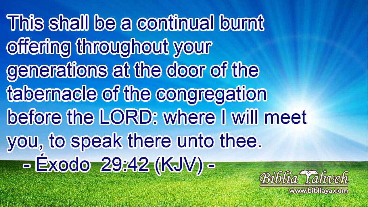 This shall be a continual burnt offering throughout your generations at the door of the tabernacle of the congregation before the LORD: where I will meet you, to speak there unto thee.