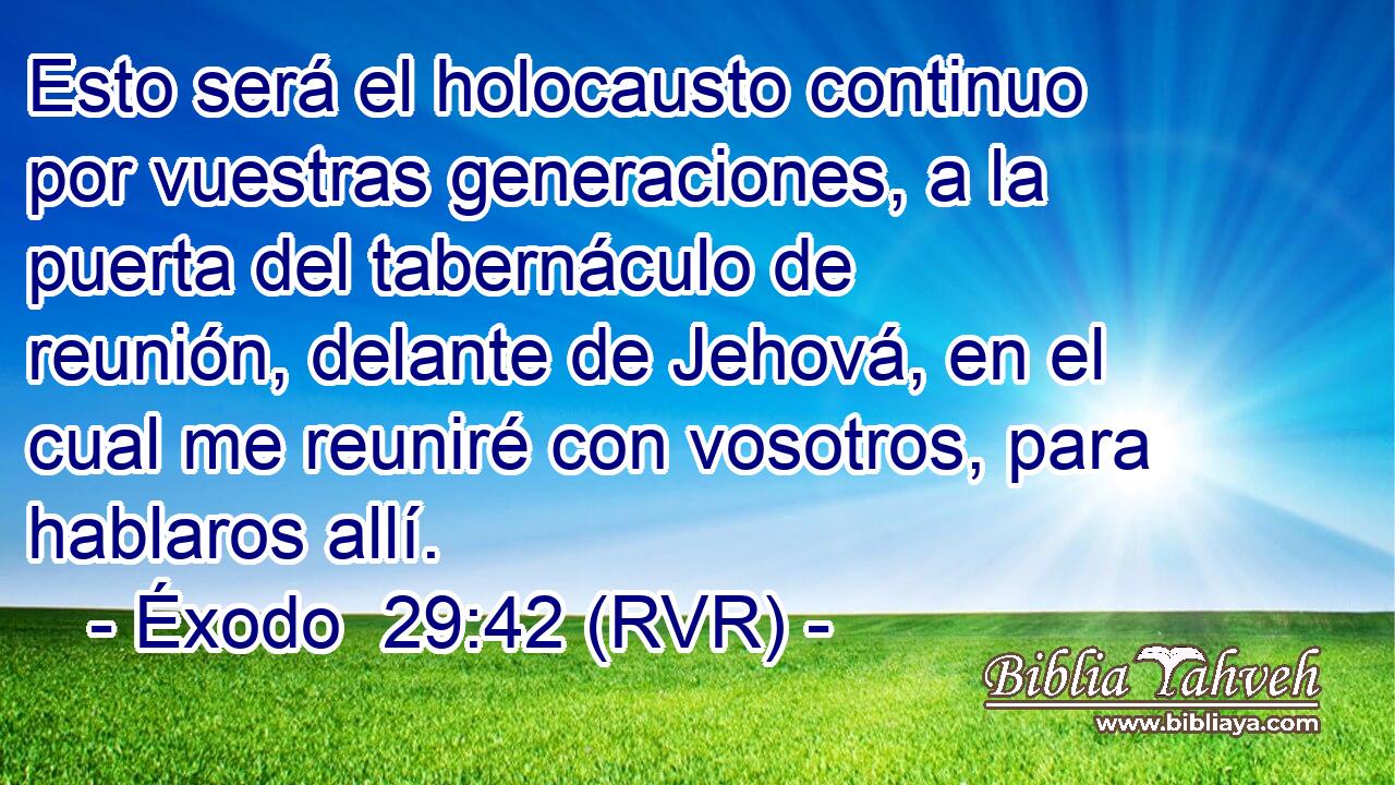Esto será el holocausto continuo por vuestras generaciones, a la puerta del tabernáculo de reunión, delante de Jehová, en el cual me reuniré con vosotros, para hablaros allí.