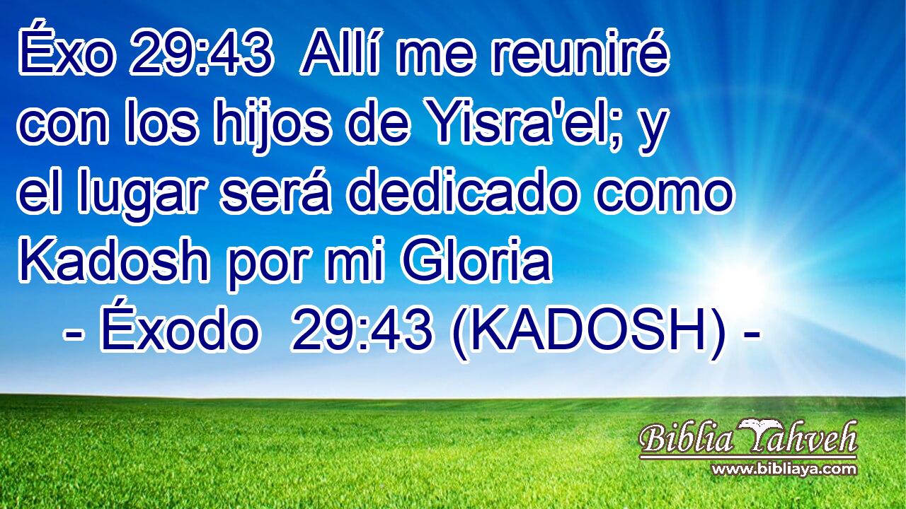  Allí me reuniré con los hijos de Yisra'el; y el lugar será dedicado como Kadosh por mi Gloria 