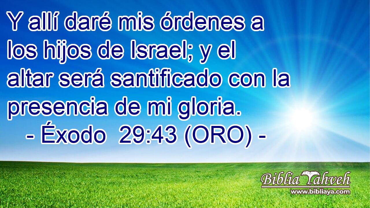  Y allí daré mis órdenes a los hijos de Israel; y el altar será santificado con la presencia de mi gloria. 