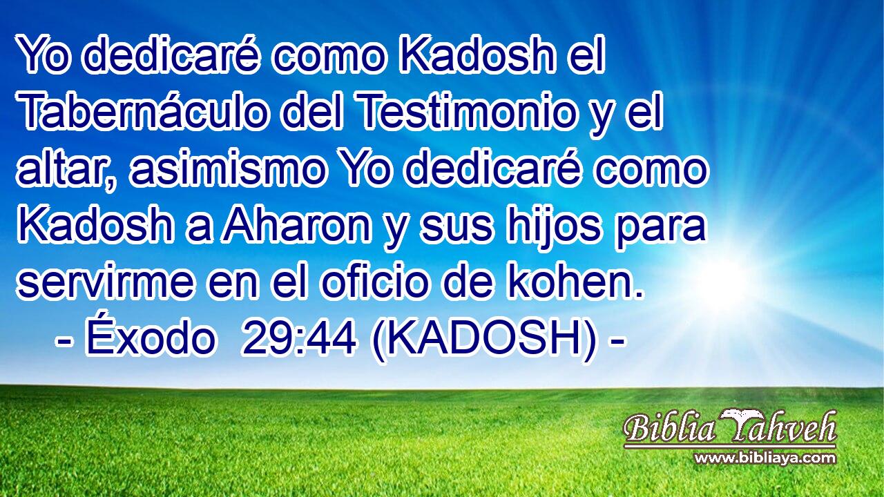  Yo dedicaré como Kadosh el Tabernáculo del Testimonio y el altar, asimismo Yo dedicaré como Kadosh a Aharon y sus hijos para servirme en el oficio de kohen. 