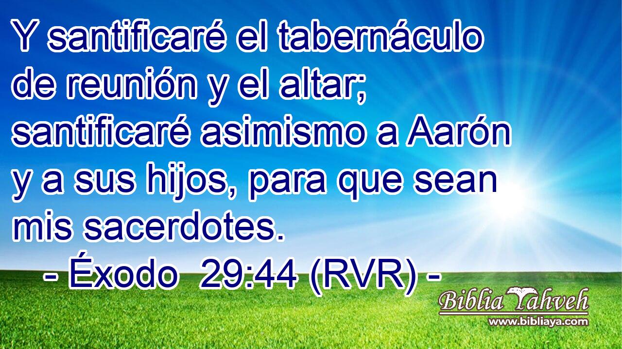Y santificaré el tabernáculo de reunión y el altar; santificaré asimismo a Aarón y a sus hijos, para que sean mis sacerdotes.