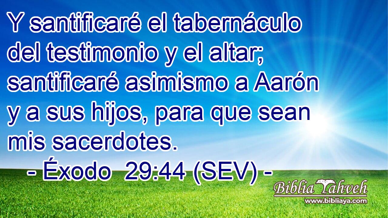 Y santificaré el tabernáculo del testimonio y el altar; santificaré asimismo a Aarón y a sus hijos, para que sean mis sacerdotes.