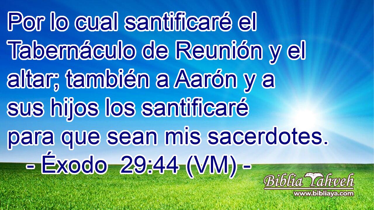  Por lo cual santificaré el Tabernáculo de Reunión y el altar; también a Aarón y a sus hijos los santificaré para que sean mis sacerdotes. 