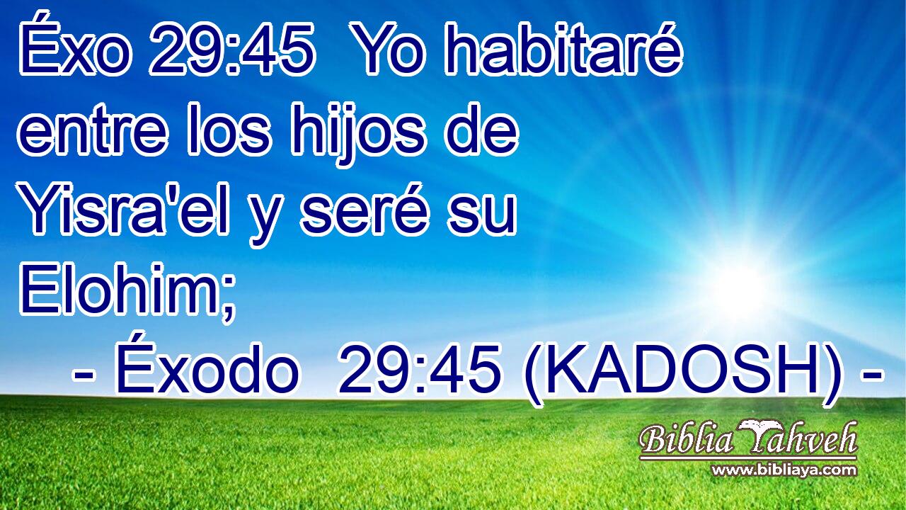  Yo habitaré entre los hijos de Yisra'el y seré su Elohim; 
