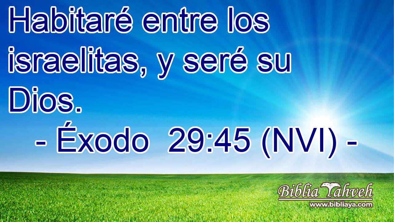  Habitaré entre los israelitas, y seré su Dios. 