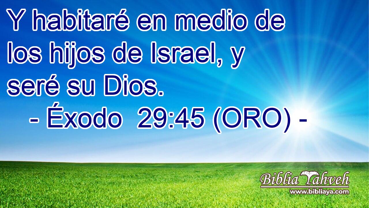  Y habitaré en medio de los hijos de Israel, y seré su Dios. 