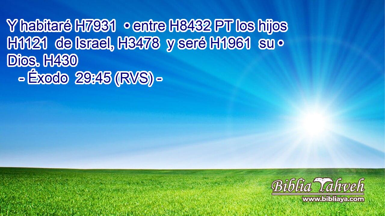 Y habitaré H7931  • entre H8432 PT los hijos H1121  de Israel, H3478  y seré H1961  su • Dios. H430  