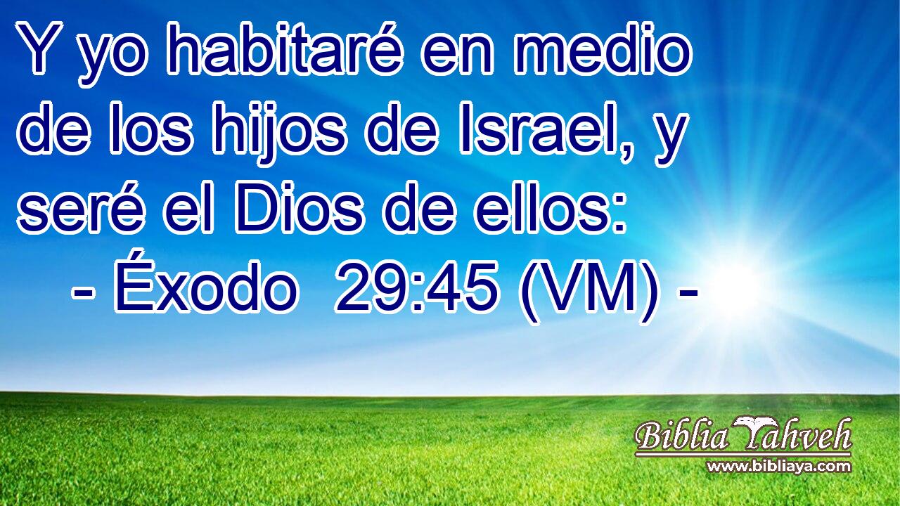  Y yo habitaré en medio de los hijos de Israel, y seré el Dios de ellos: 