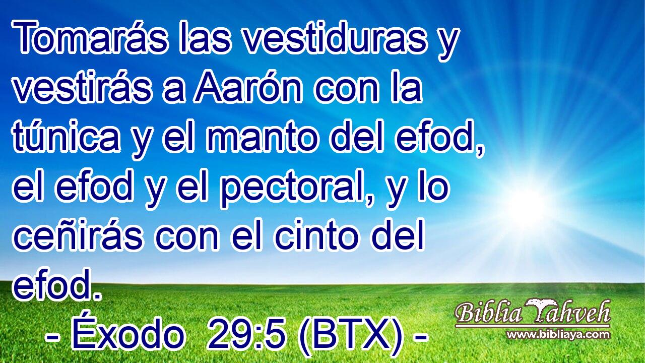 Tomarás las vestiduras y vestirás a Aarón con la túnica y el manto del efod, el efod y el pectoral, y lo ceñirás con el cinto del efod.