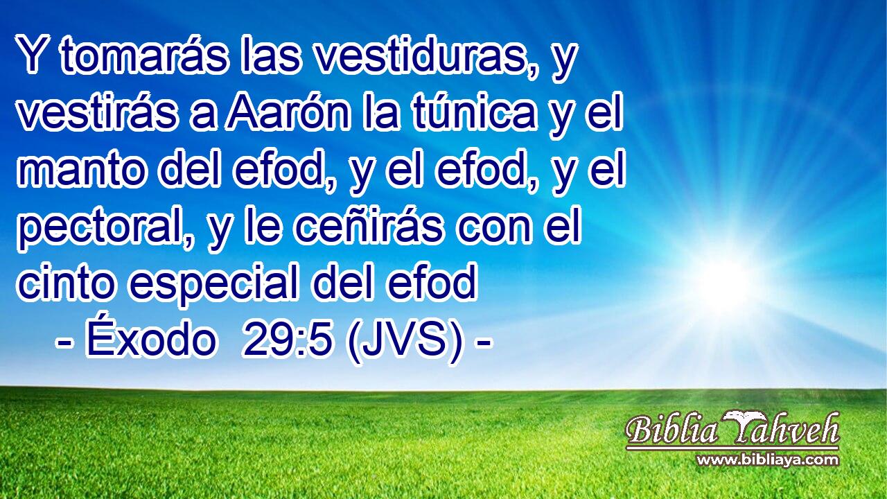 Y tomarás las vestiduras, y vestirás a Aarón la túnica y el manto del efod, y el efod, y el pectoral, y le ceñirás con el cinto especial del efod