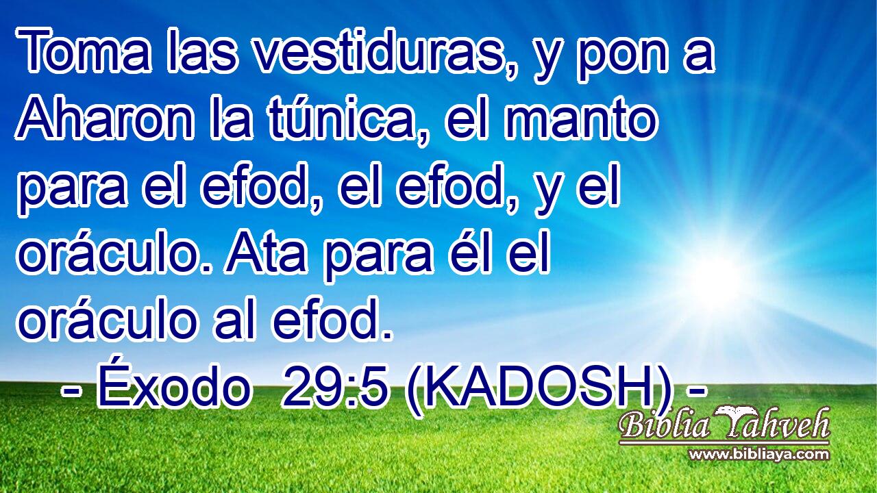  Toma las vestiduras, y pon a Aharon la túnica, el manto para el efod, el efod, y el oráculo. Ata para él el oráculo al efod. 