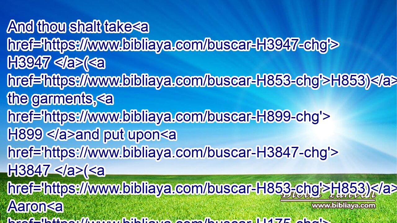 And thou shalt take H3947 (H853) the garments, H899 and put upon H3847 (H853) Aaron H175 (H853) the coat, H3801 and the robe H4598 of the ephod, H646 and the ephod, H646 and the breastplate, H2833 and gird H640 him with the curious girdle H2805 of the ephod:H646