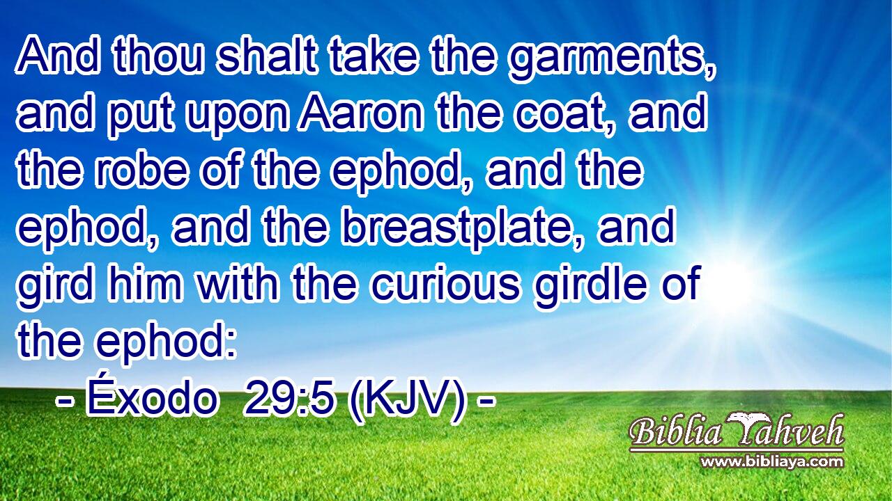 And thou shalt take the garments, and put upon Aaron the coat, and the robe of the ephod, and the ephod, and the breastplate, and gird him with the curious girdle of the ephod: