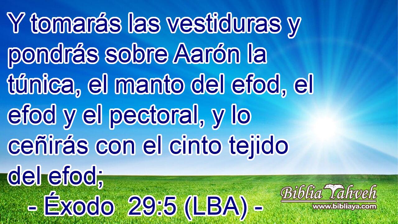 Y tomarás las vestiduras y pondrás sobre Aarón la túnica, el manto del efod, el efod y el pectoral, y lo ceñirás con el cinto tejido del efod;