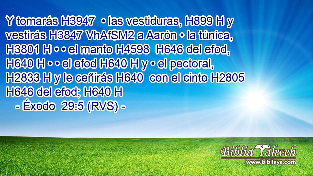 Y tomarás H3947  • las vestiduras, H899 H y vestirás H3847 VhAfSM2 a Aarón • la túnica, H3801 H • • el manto H4598  H646 del efod, H640 H • • el efod H640 H y • el pectoral, H2833 H y le ceñirás H640  con el cinto H2805  H646 del efod; H640 H 