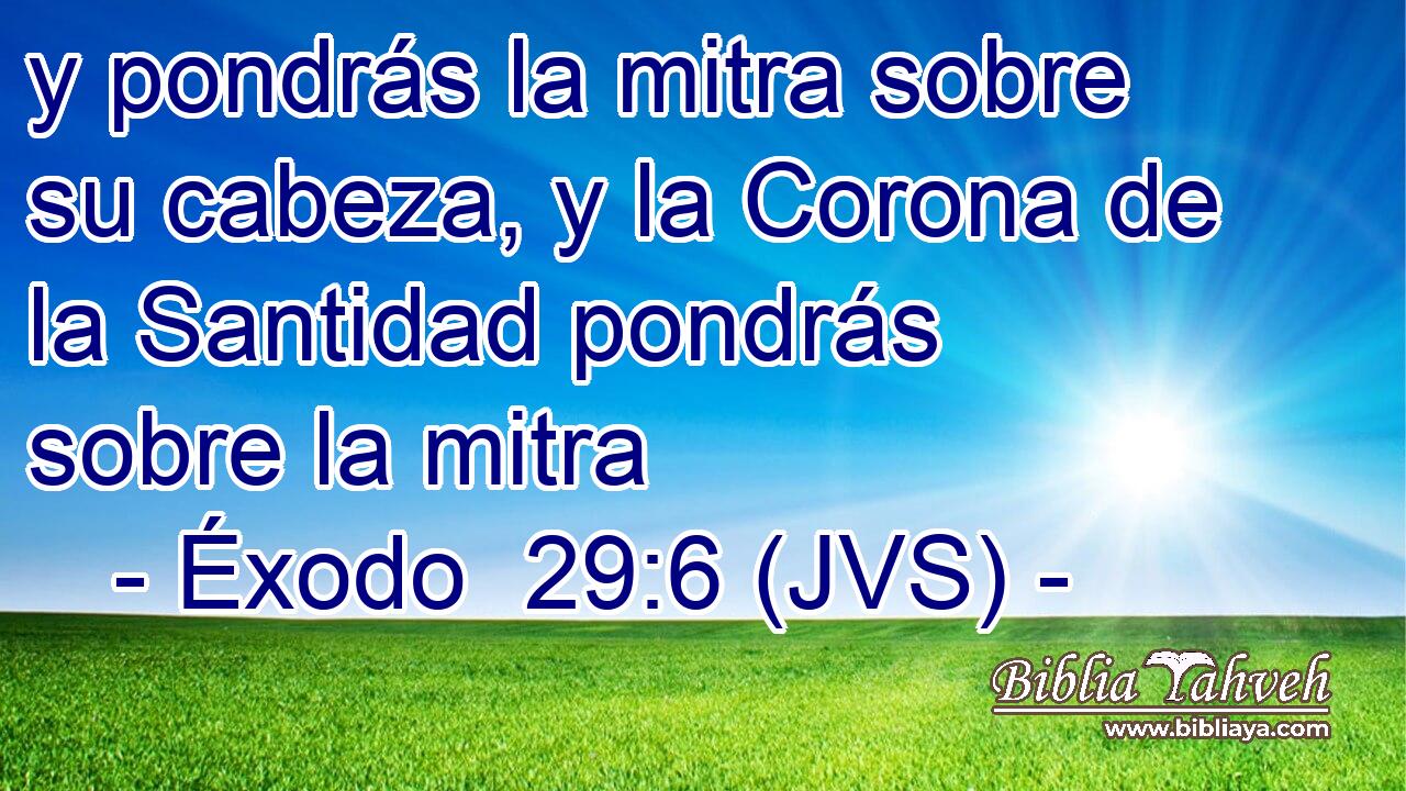 y pondrás la mitra sobre su cabeza, y la Corona de la Santidad pondrás sobre la mitra