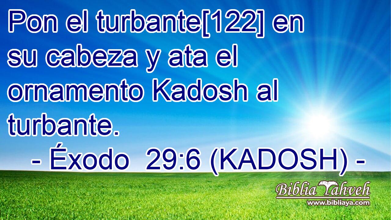  Pon el turbante[122] en su cabeza y ata el ornamento Kadosh al turbante. 