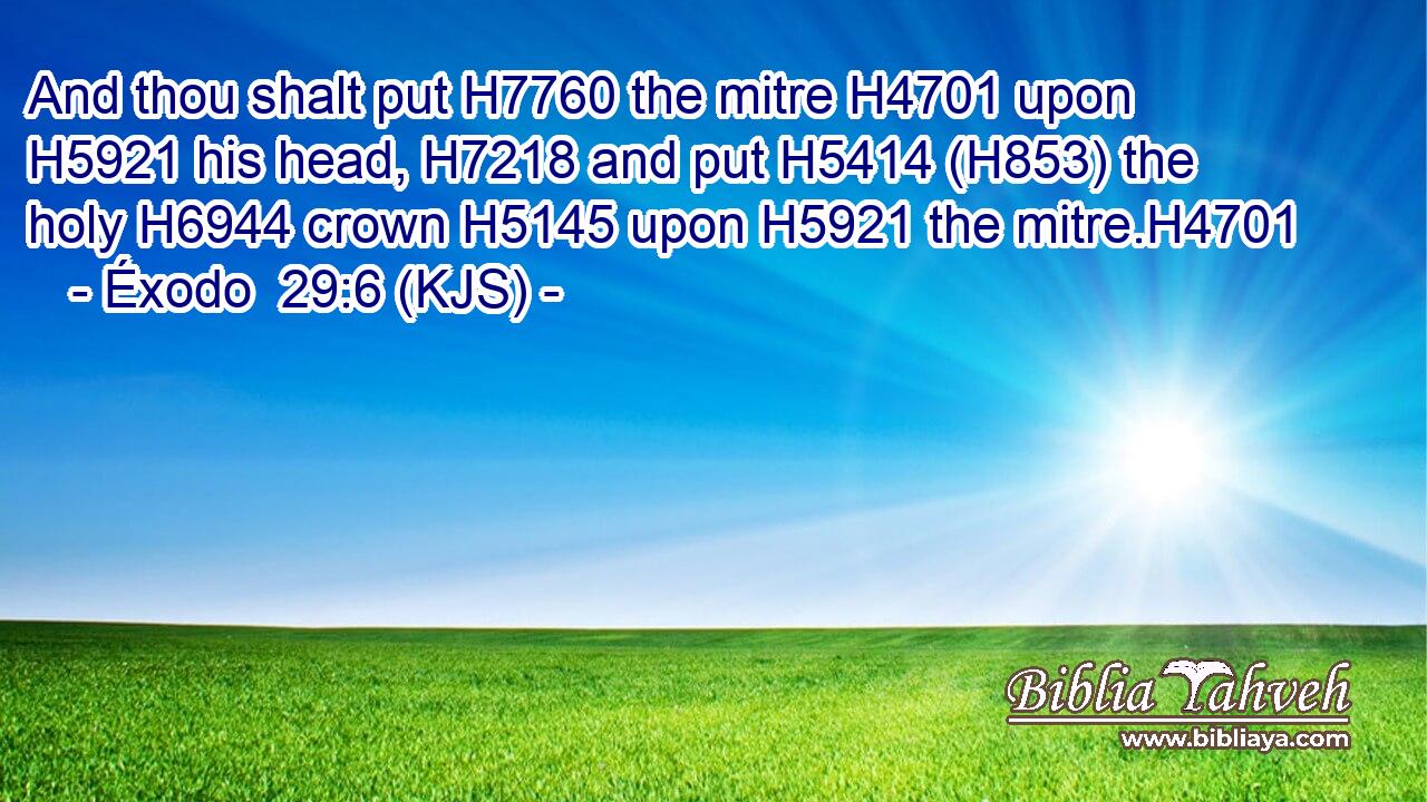 And thou shalt put H7760 the mitre H4701 upon H5921 his head, H7218 and put H5414 (H853) the holy H6944 crown H5145 upon H5921 the mitre.H4701