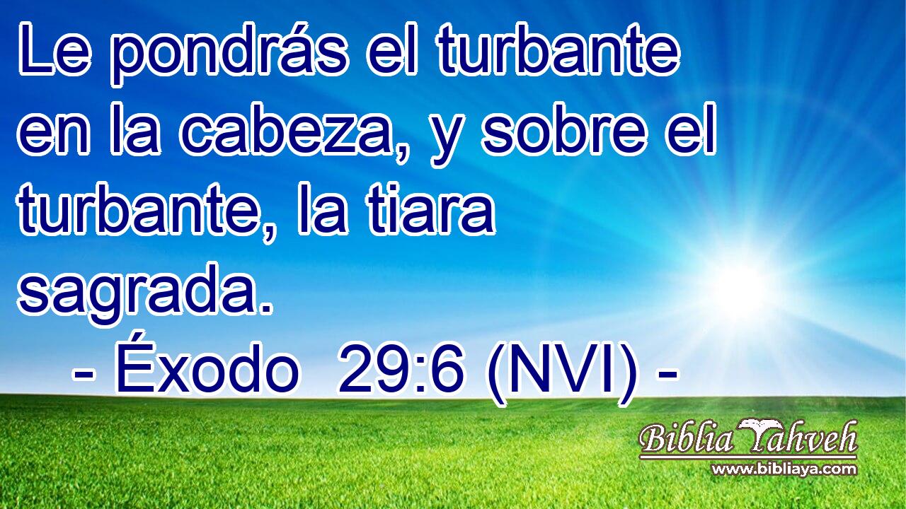  Le pondrás el turbante en la cabeza, y sobre el turbante, la tiara sagrada. 