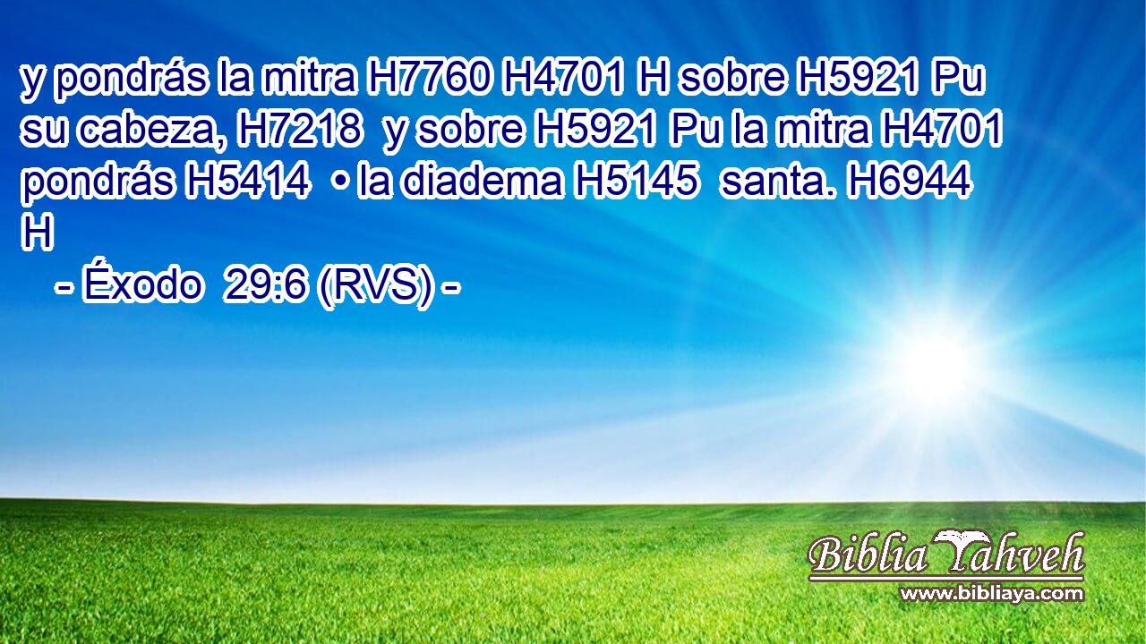 y pondrás la mitra H7760 H4701 H sobre H5921 Pu su cabeza, H7218  y sobre H5921 Pu la mitra H4701  pondrás H5414  • la diadema H5145  santa. H6944 H 
