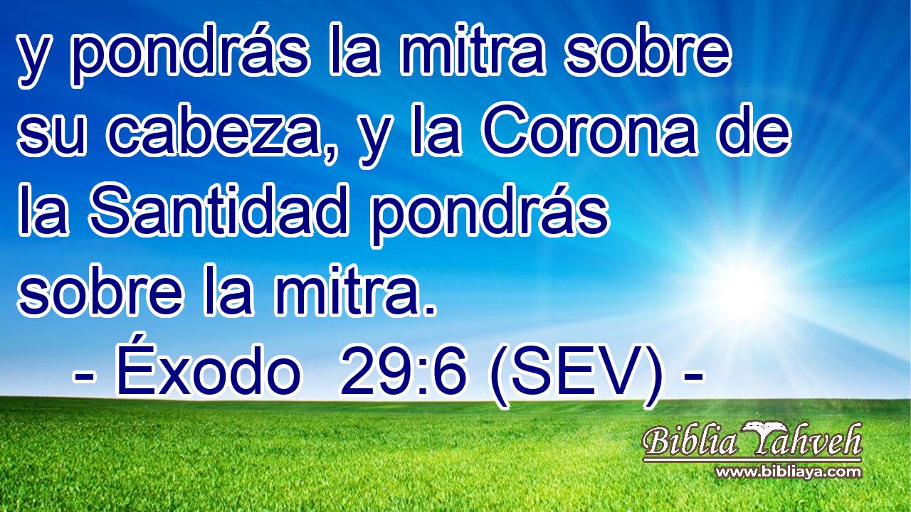 y pondrás la mitra sobre su cabeza, y la Corona de la Santidad pondrás sobre la mitra.
