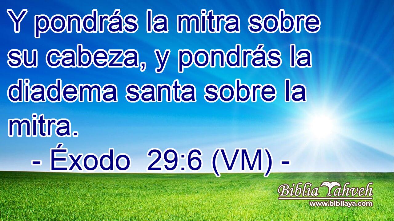  Y pondrás la mitra sobre su cabeza, y pondrás la diadema santa sobre la mitra. 