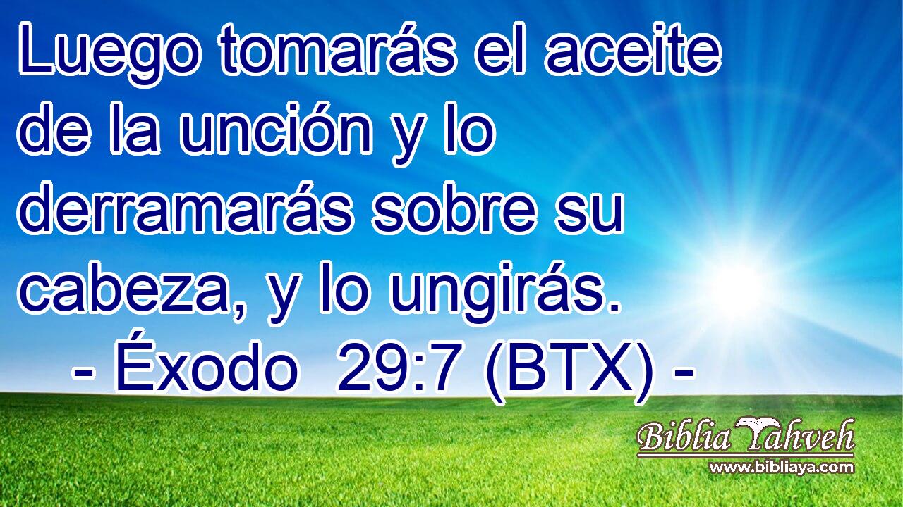 Luego tomarás el aceite de la unción y lo derramarás sobre su cabeza, y lo ungirás.