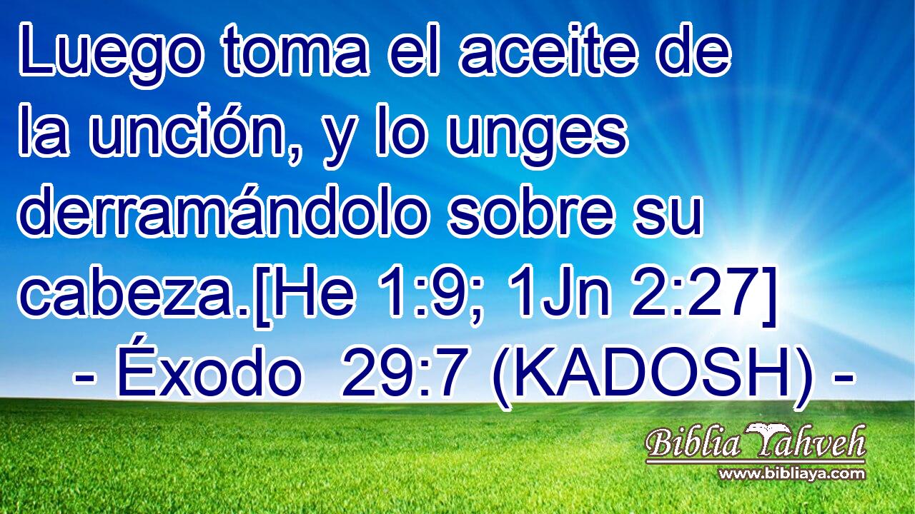  Luego toma el aceite de la unción, y lo unges derramándolo sobre su cabeza.[He 1:9; 1Jn 2:27] 