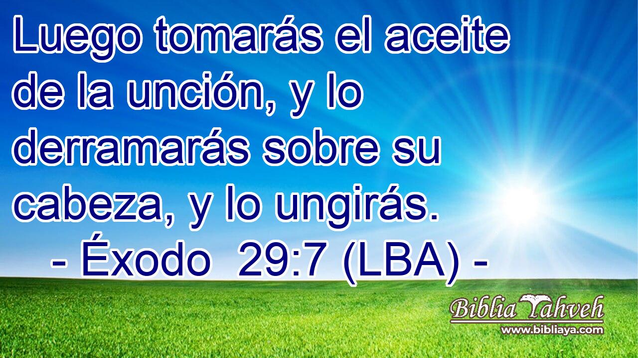 Luego tomarás el aceite de la unción, y lo derramarás sobre su cabeza, y lo ungirás.
