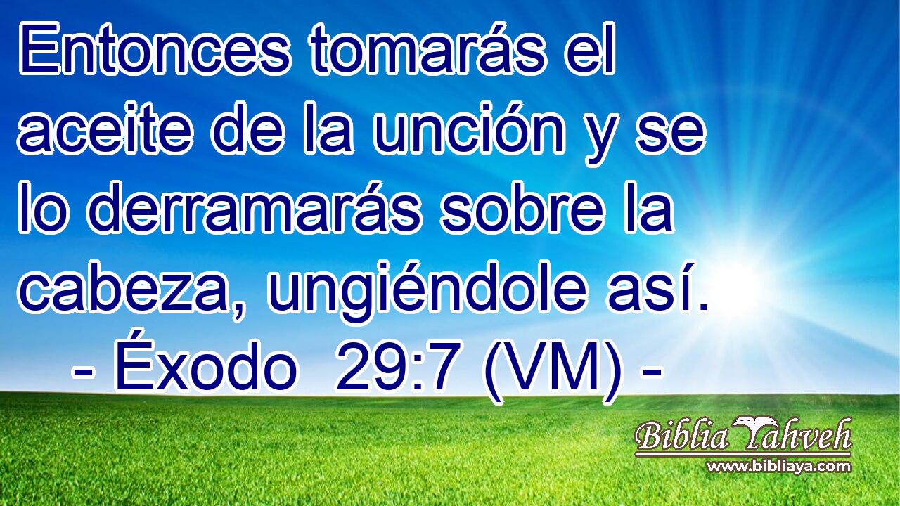  Entonces tomarás el aceite de la unción y se lo derramarás sobre la cabeza, ungiéndole así. 
