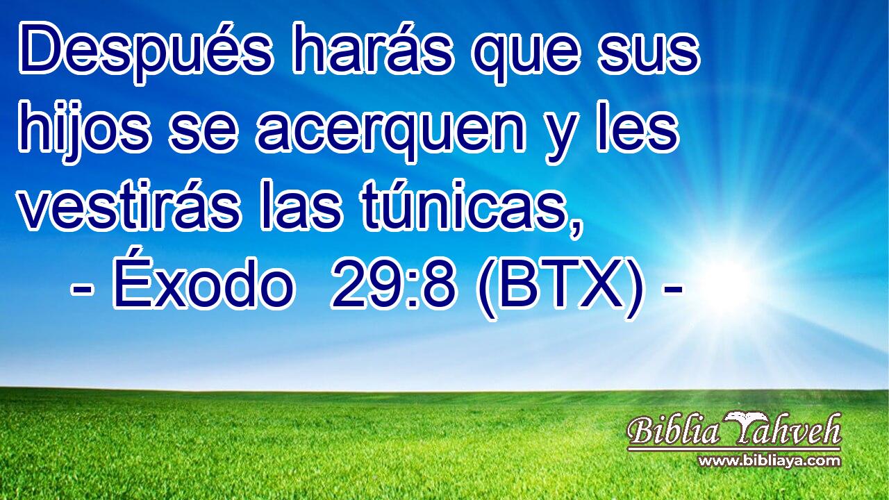 Después harás que sus hijos se acerquen y les vestirás las túnicas,
