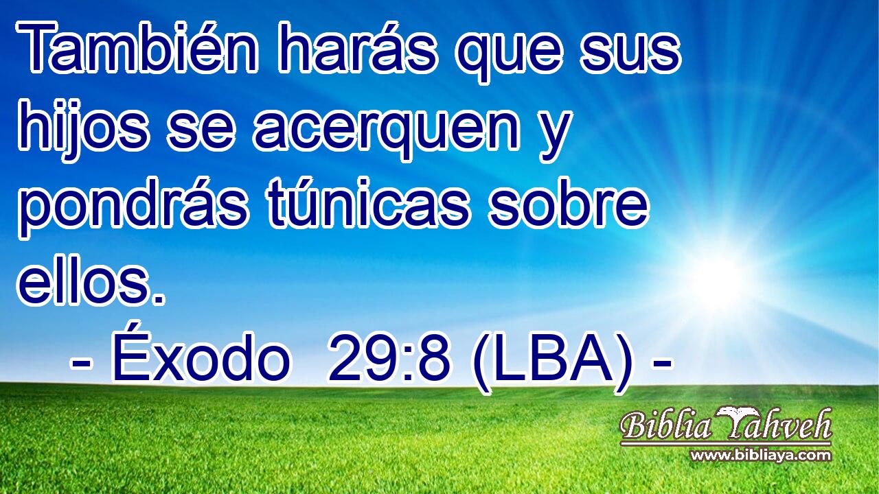 También harás que sus hijos se acerquen y pondrás túnicas sobre ellos.