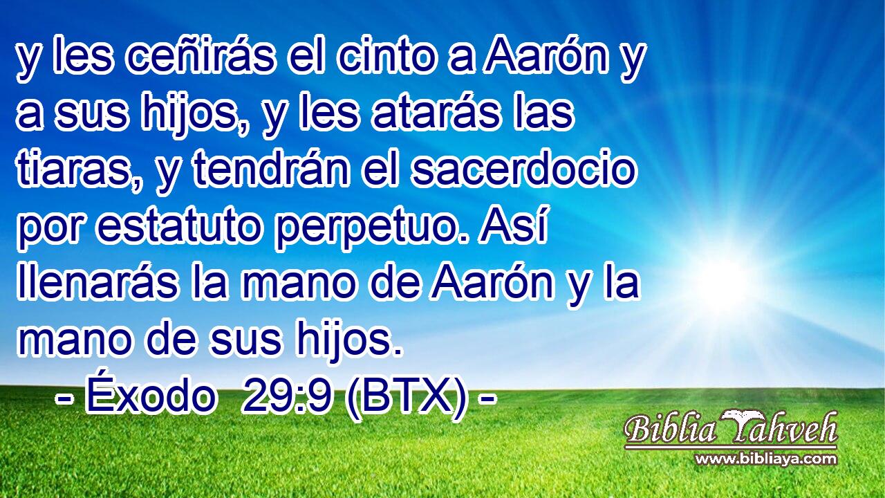 y les ceñirás el cinto a Aarón y a sus hijos, y les atarás las tiaras, y tendrán el sacerdocio por estatuto perpetuo. Así llenarás la mano de Aarón y la mano de sus hijos.