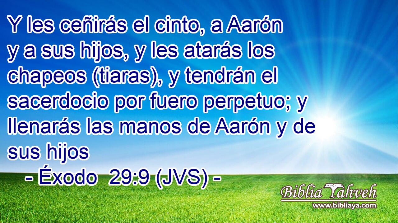 Y les ceñirás el cinto, a Aarón y a sus hijos, y les atarás los chapeos (tiaras), y tendrán el sacerdocio por fuero perpetuo; y llenarás las manos de Aarón y de sus hijos